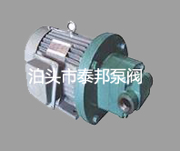 RYB電動內(nèi)嚙合齒輪泵,電動內(nèi)嚙合齒輪泵,電動泵